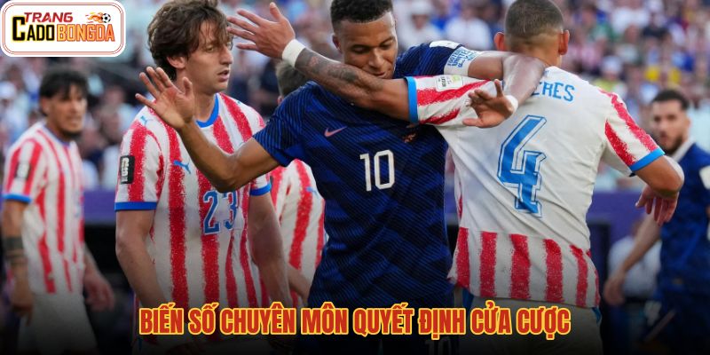 bien-so-chuyen-mon-quyet-dinh-cua-cuoc bien-so-chuyen-mon-quyet-dinh-cua-cuoc