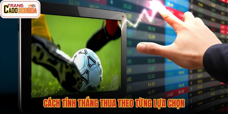 cach-tinh-thang-thua-theo-tung-lua-chon cach-tinh-thang-thua-theo-tung-lua-chon