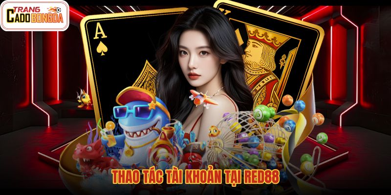 thao-tac-tai-khoan-tai-red88 thao-tac-tai-khoan-tai-red88